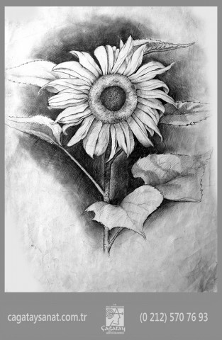 resim_kursu_guzel_sanatlara_hazirlik_cagatay_sanat_bakirkoy_resim_kursu_atakoy_residersi_bahcesehir_icmimarlik_grafik_tekstil_endustritasarimi_cekmece_beylikduzu-75